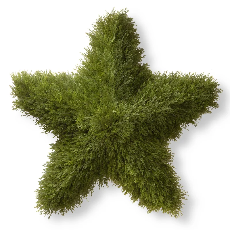 Christmas Party 36 in. Juniper Star Wreath