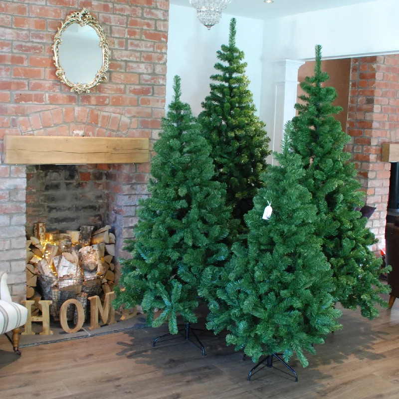 Christmas Starry Outdoor Lights 4ft, 5ft, 6ft, 7ft or 8ft Samuel Alexander Christmas Tree in Plain Green Christmas Starry Outdoor Lights 4ft, 5ft, 6ft, 7ft or 8ft Samuel Alexander Christmas Tree in Plain Green