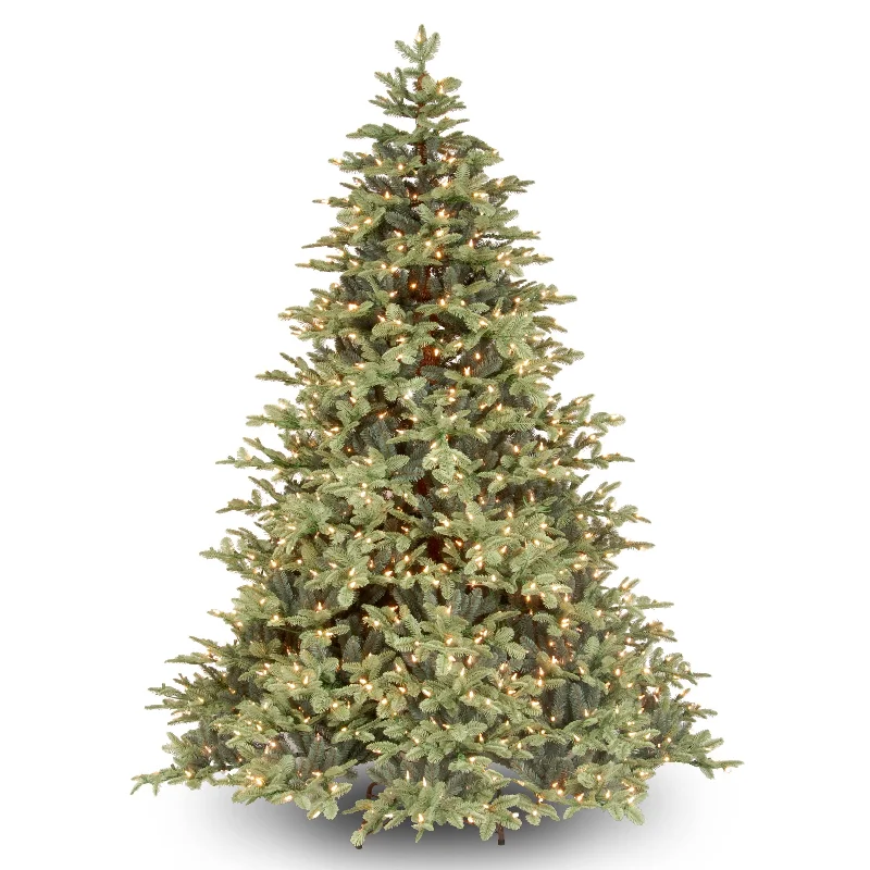 Christmas Glowing Christmas Stars 6.5 ft. Pre-Lit Noble Deluxe Fir Tree with Warm White LED Lights Christmas Glowing Christmas Stars 6.5 ft. Pre-Lit Noble Deluxe Fir Tree with Warm White LED Lights