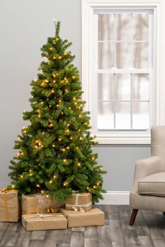 Christmas Holiday Fun 6' Prelit Nobel Fir Christmas Tree with Warm White Lights