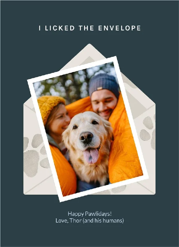 Christmas Enchanting Celebrations Pawfect Holiday