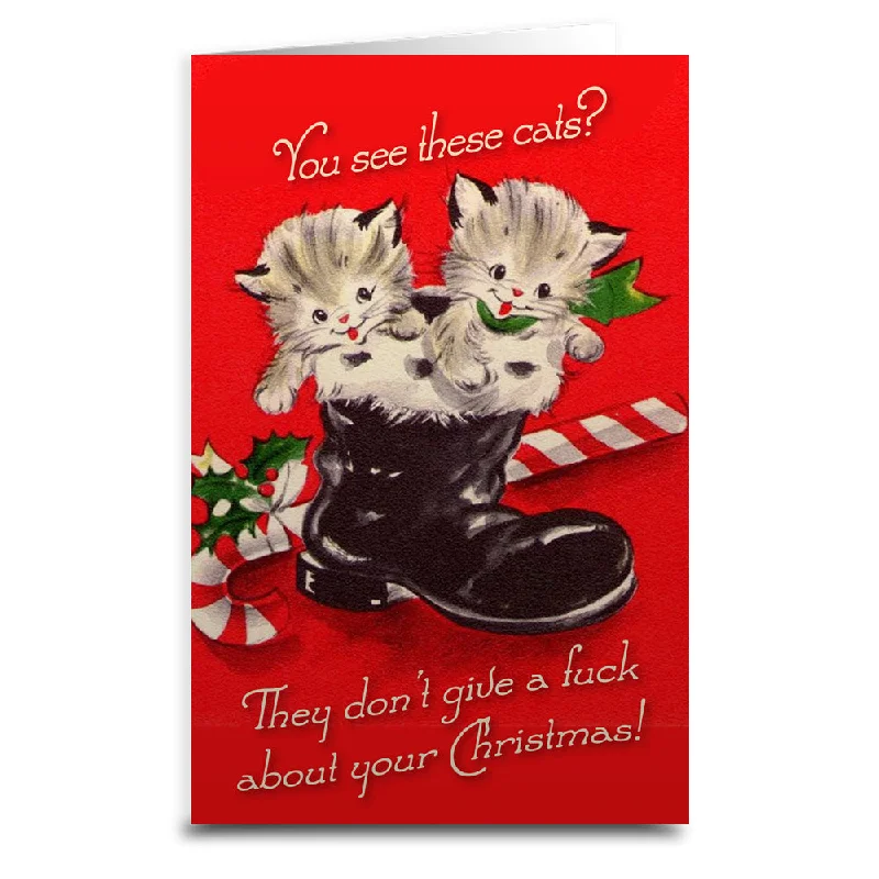 Christmas Holiday Street Decorations Cats Don't Care About Christmas Card