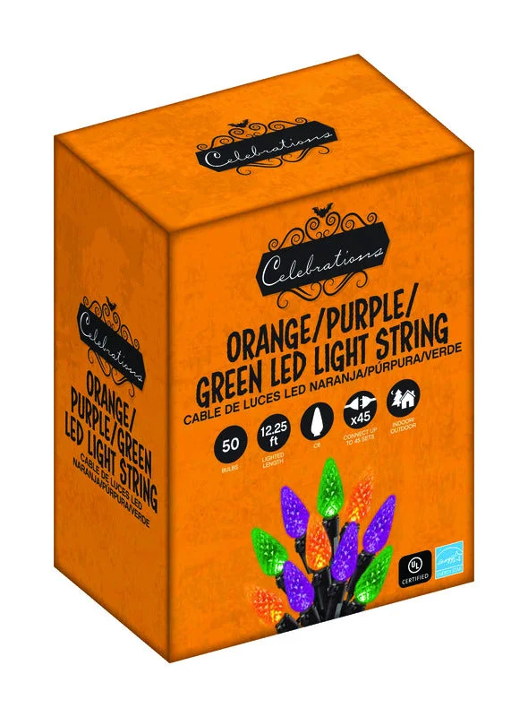 Christmas Church Service Celebrations Multicolored 50 ct LED String Lights