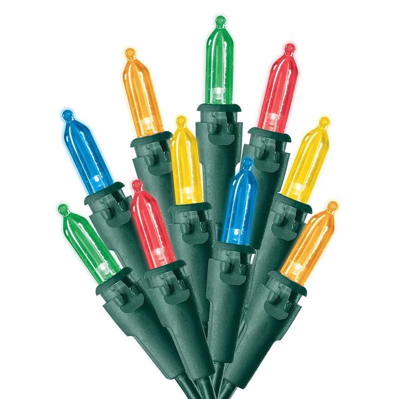 Cozy Christmas Celebrations Multicolored Indoor/Outdoor Traditional LED Mini Christmas Light Set 24.5 L ft.