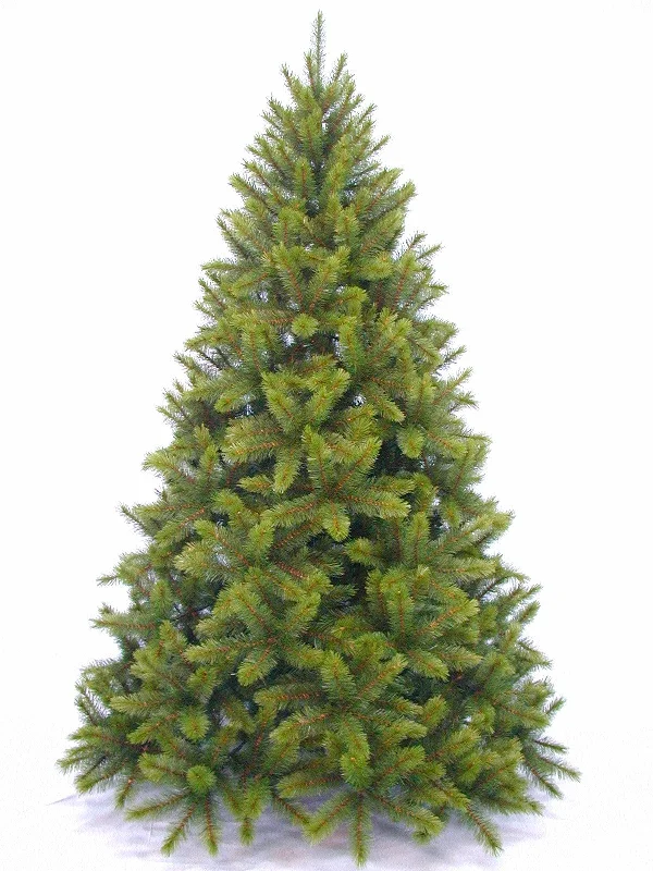 Christmas Countdown Christmas Tree <br> 7ft Sierra Nevada Pine (2.14m)