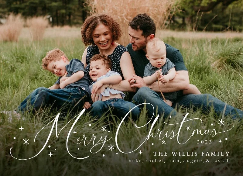 Holiday Season Christmas Joy