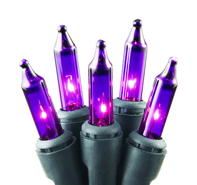 Christmas Holiday Gathering Celebrations Purple 100 ct Incandescent String Lights