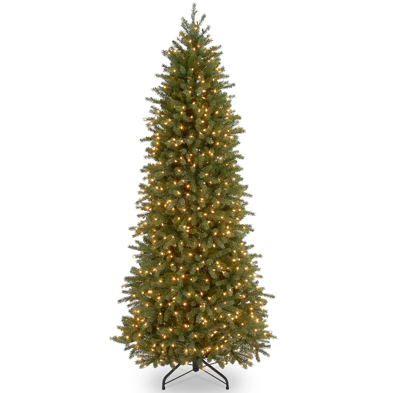 Jersey Fraser Fir Pencil Trees