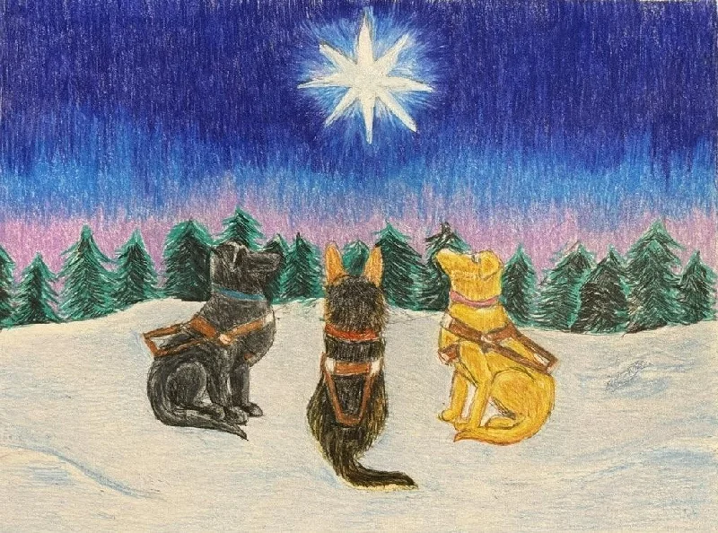 Christmas Crackling Wood Fire NEW North Star Night!