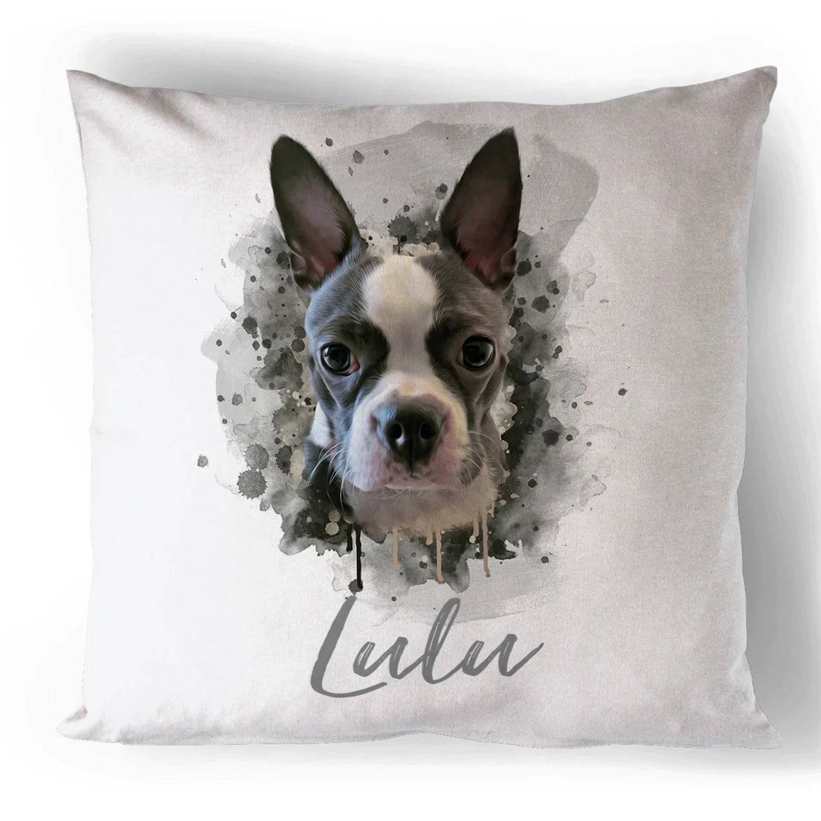 Paint Splat Pet Portrait Cushion