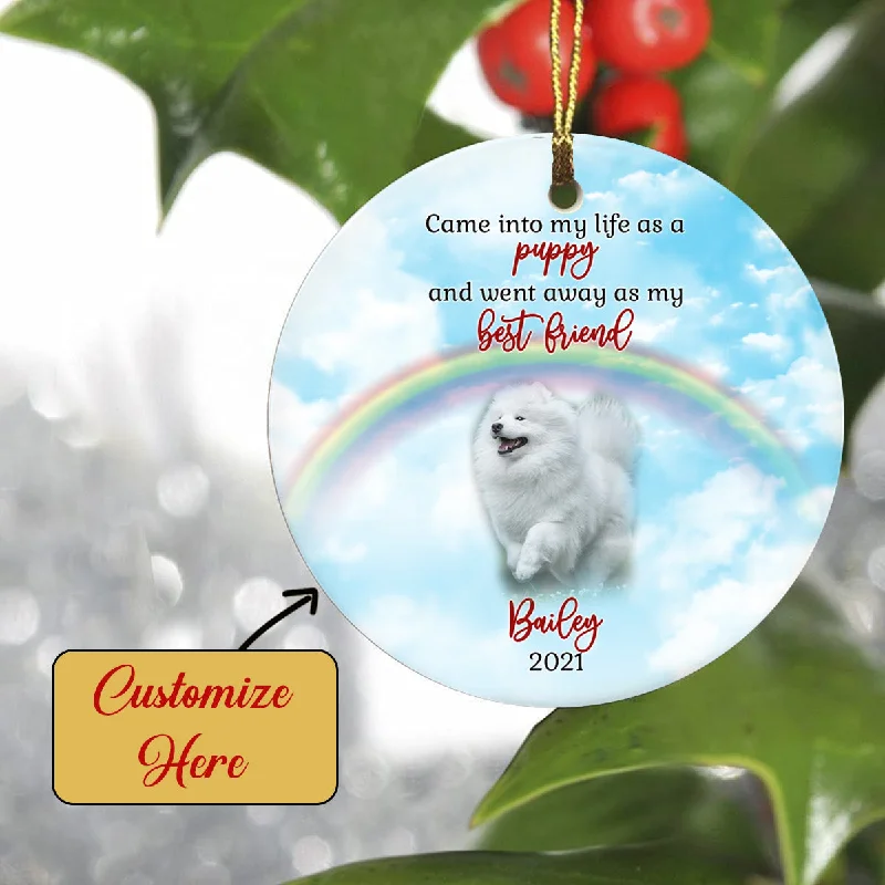 Pet Memorial Ornament - Went away As My Best Friend, Pet Loss Ornament, Remembrance Loss of Dog, Loss of Cat, Sympathy Gift for Dog Owners| NOM123 Pet Memorial Ornament - Went away As My Best Friend, Pet Loss Ornament, Remembrance Loss of Dog, Loss of Cat, Sympathy Gift for Dog Owners| NOM123