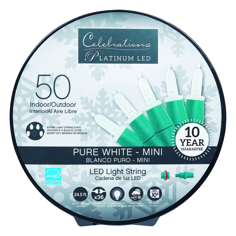 Christmas Ornaments Celebrations  Platinum  LED  Mini  Cool White  50 count String  Christmas Lights  24.5 ft.