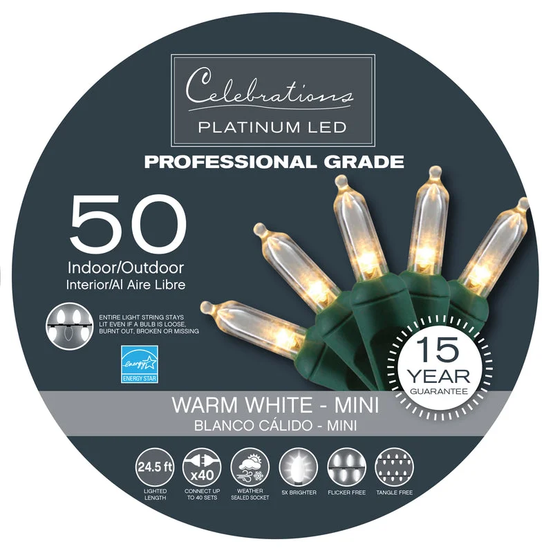 Christmas Gingerbread Celebrations Platinum LED T5 Warm White 50 ct String Christmas Lights 24.5 ft.