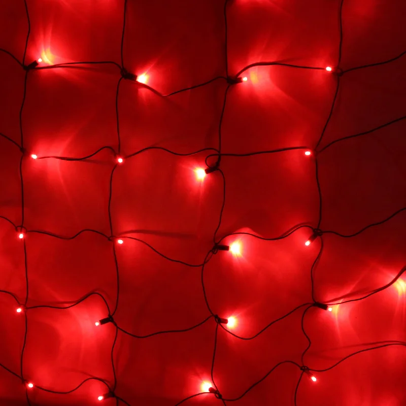 Christmas Holiday Fun 100-light Red 5mm LED Net Lights, Green Wire