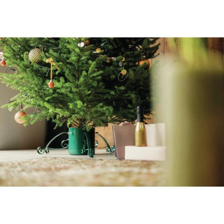 Christmas Pajamas Romantic Live Tree Stand