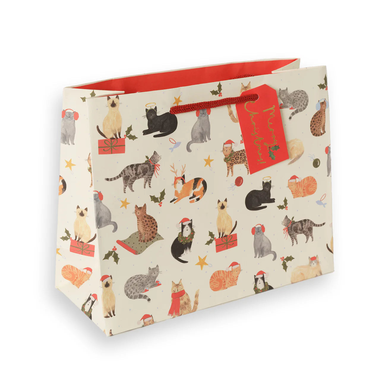 Santa Paws Cats Medium Christmas Gift Bag