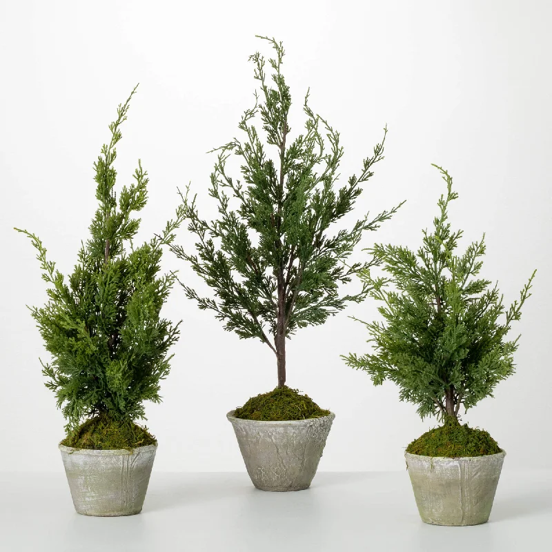 Christmas Presents Faux Dwarf Cedar Tree Set Of 3