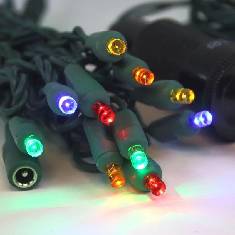 Christmas Cozy Holiday Magic 12 Volt LED Light Set Multicolor on Green Wire