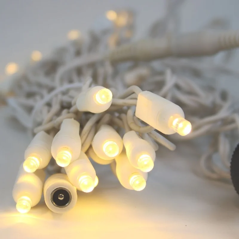 Christmas Snowflakes 12 Volt LED Light Set Warm White White Wire