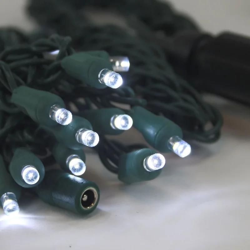 Christmas Twinkling Festive Lights 12 Volt LED Light Set Pure White Green Wire