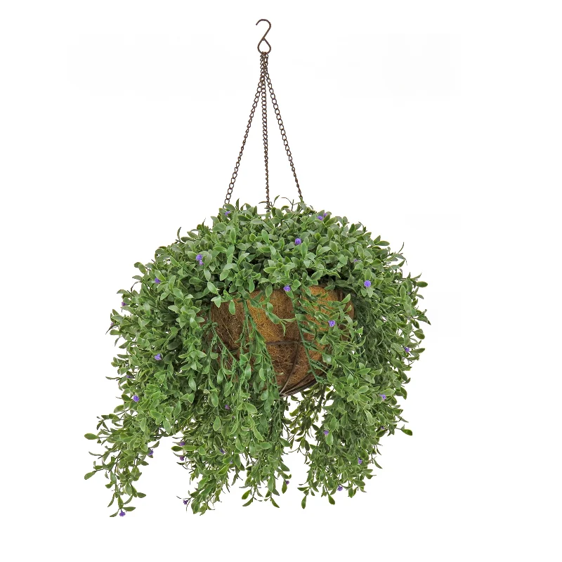 Christmas Gift Packing Station 18" Hanging Argentea Plant with Purple Flowers