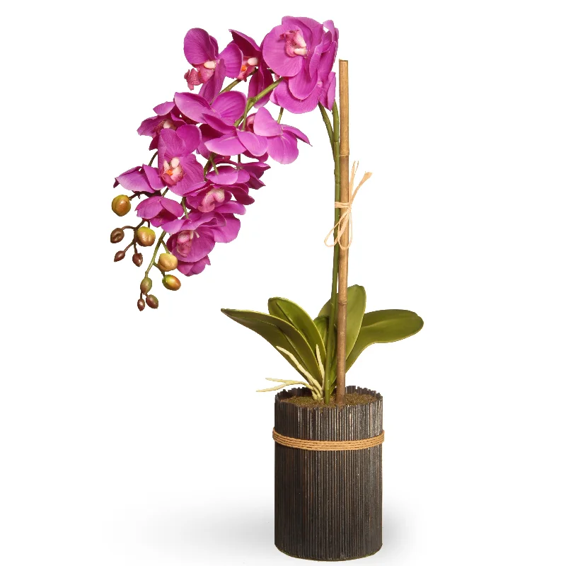Christmas Cozy Indoor Nights 23" Potted Purple Orchid