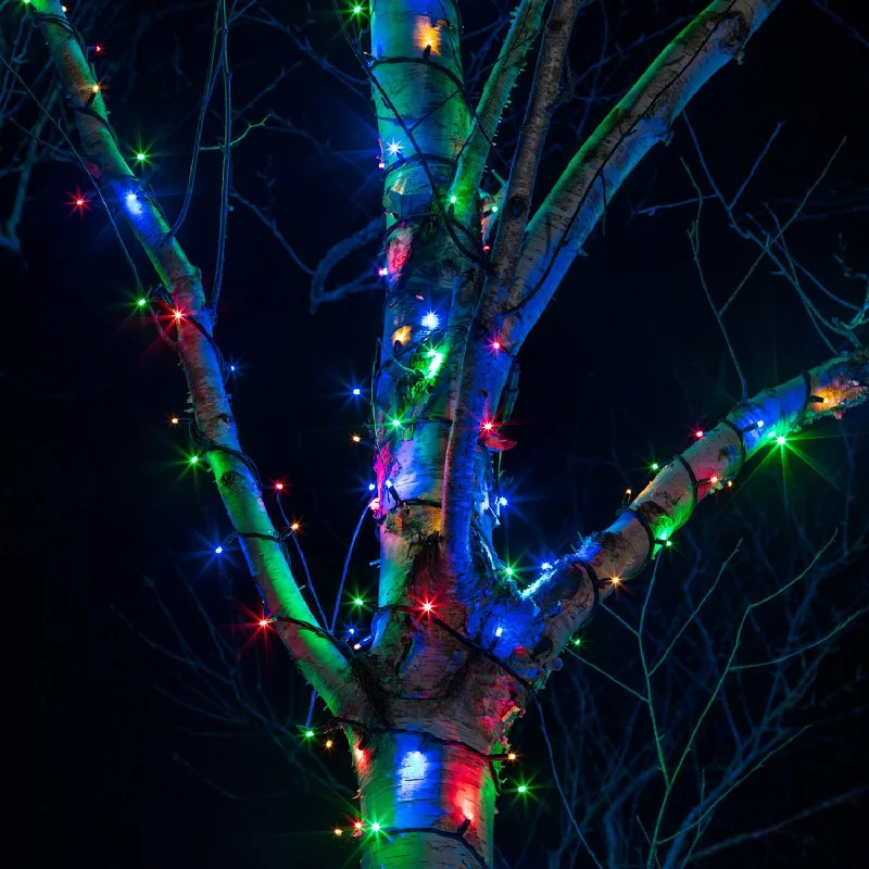 Christmas Traditions Pro Connect 55m 550 Multi Coloured Connectable String Lights Black Cable
