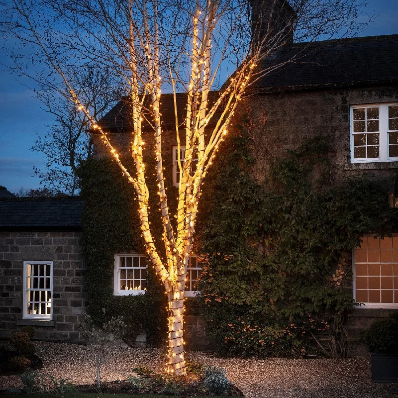 Christmas Sparkling Holiday Glow Pro Connect 5m 50 Traditional Warm White Connectable String Lights Black Cable