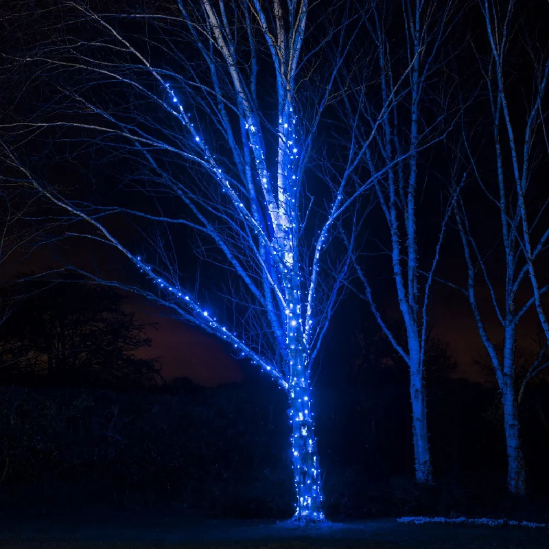 Christmas Twinkling Festive Lights Pro Connect 95m 950 Blue Connectable String Lights Black Cable