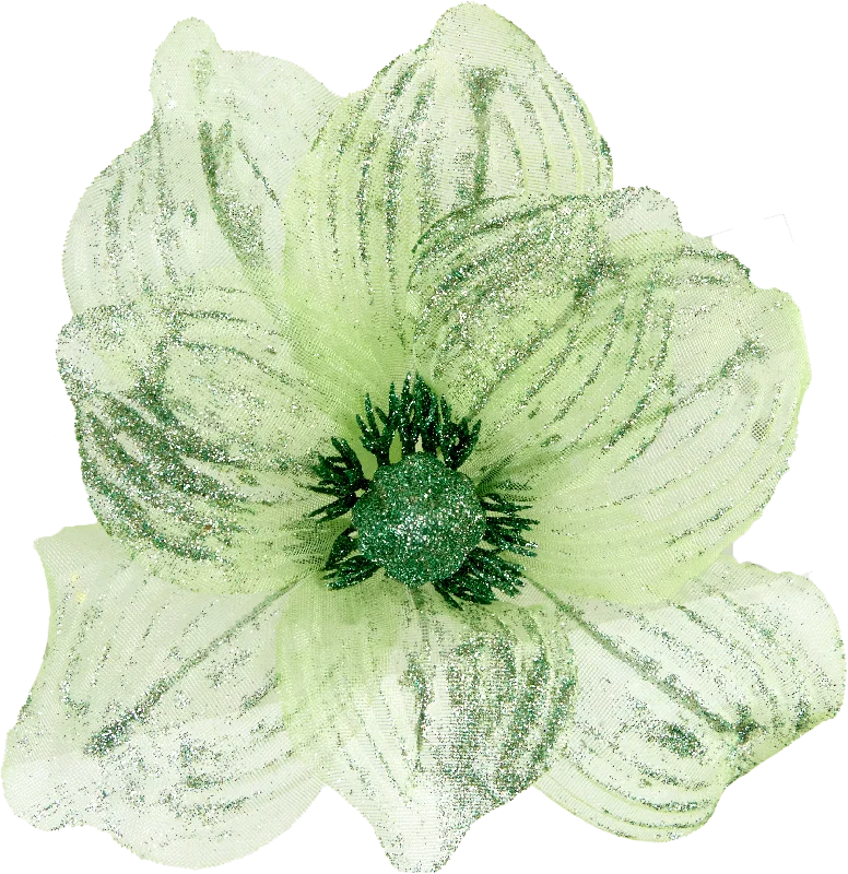 Christmas Joy Christmas Clip On Magnolia Sheer, Green